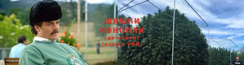 Бошки Шишки Ganja  гидра как зайти  Змеиногорск 